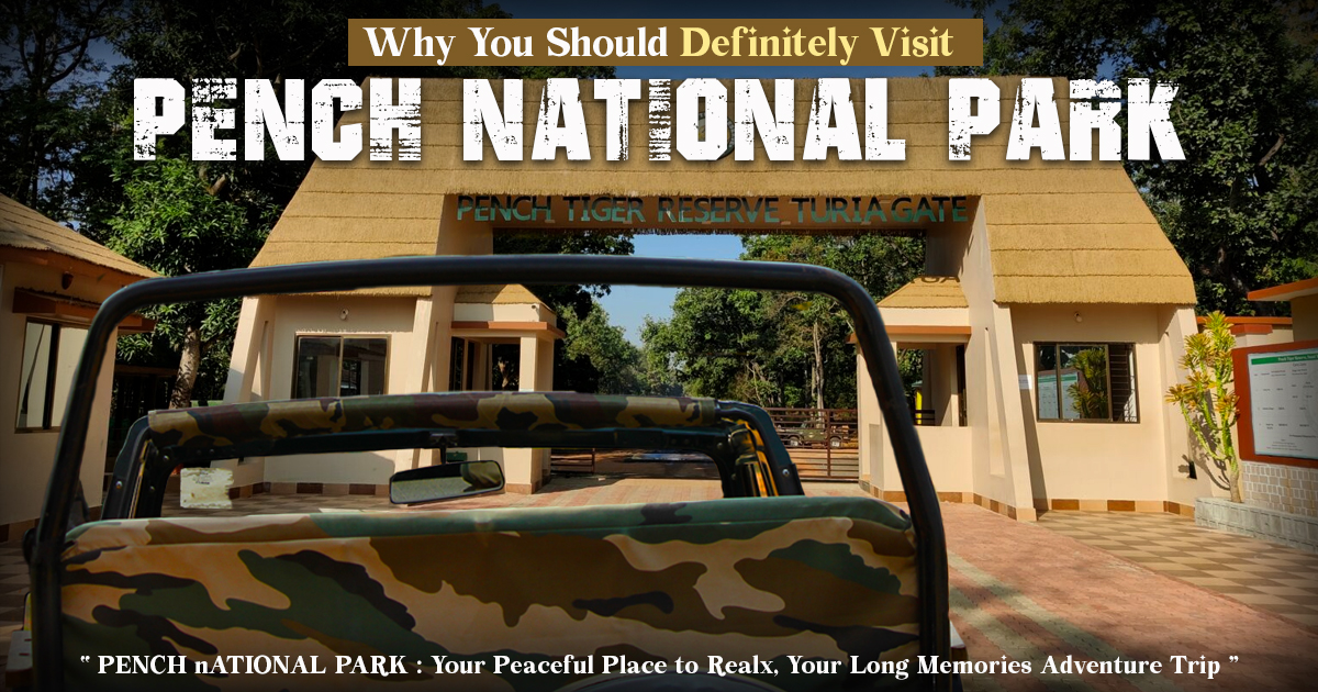 Why You Should Definitely Visit Pench National Park