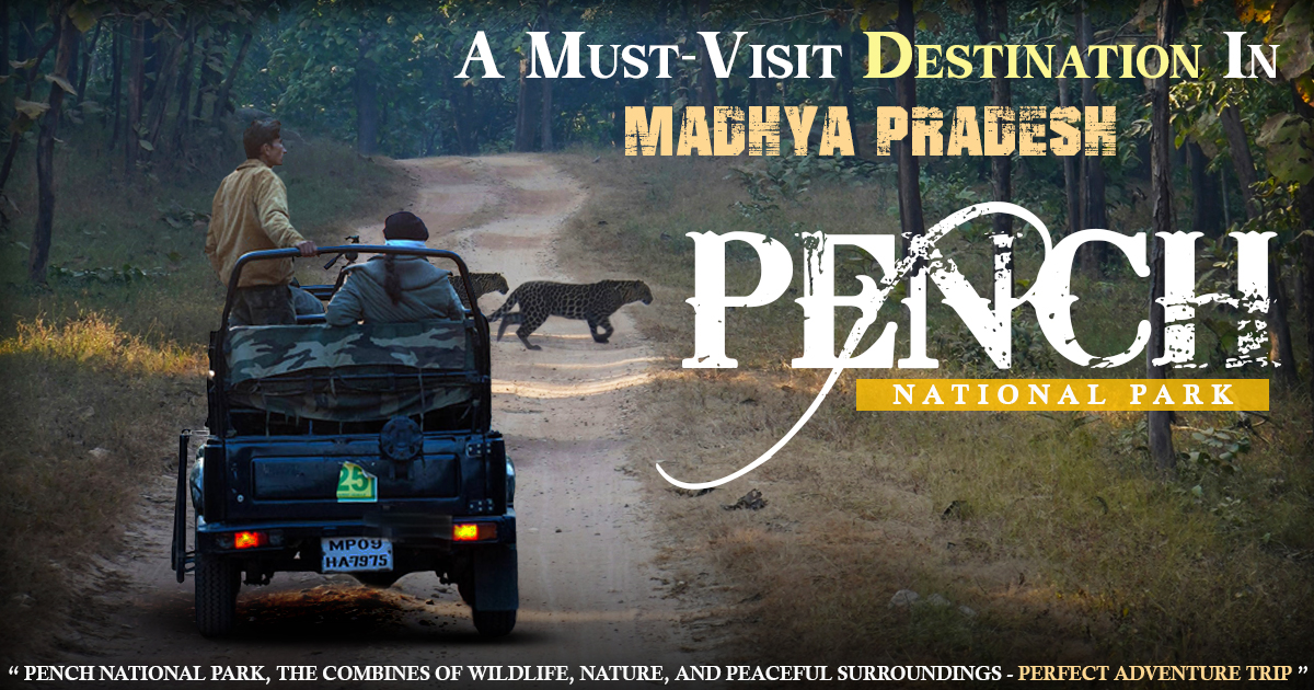 A must-visit destination in Madhya Pradesh - Pench National Park