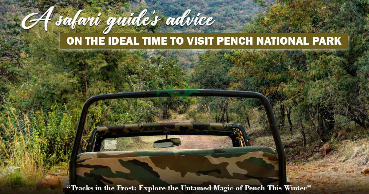 A safari guide's advice on the ideal time to visit Pench National Park