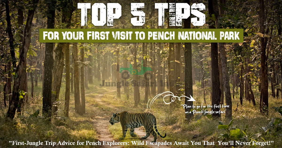 Top 5 Tips For Your First Visit To Pench National Park