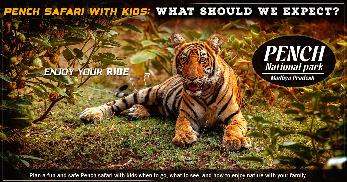 Pench Safari With Kids: What Should We Expect?