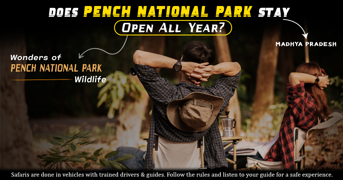 Does Pench National Park Stay Open All Year?