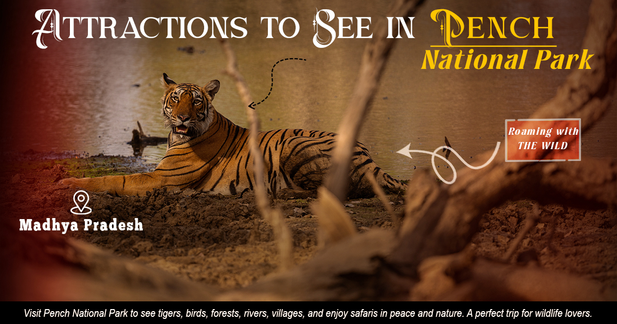 Attractions To See In Pench National Park
