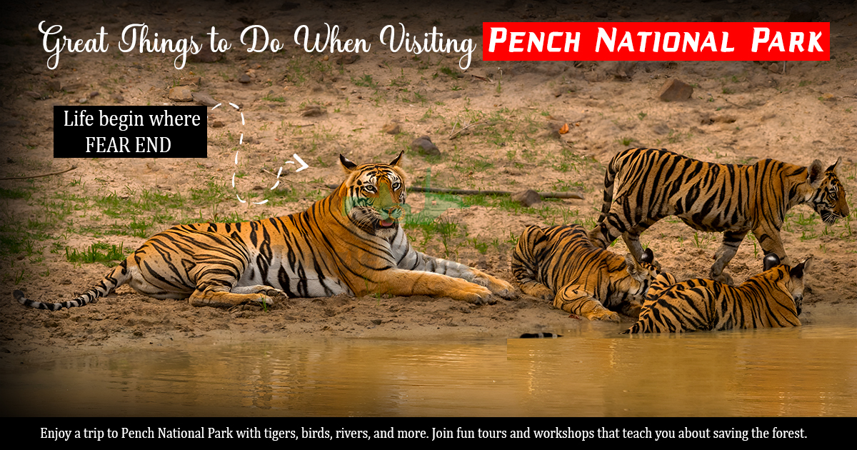 Great Things To Do When Visiting Pench National Park