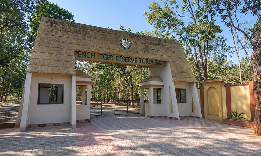 Pench National Park