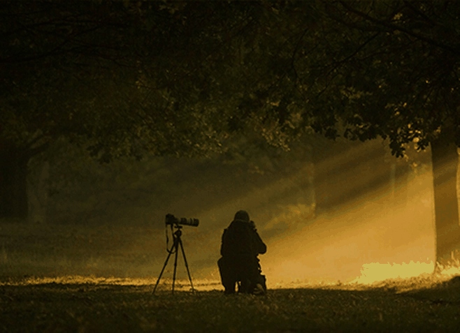 Nature walk and photography in Pench National Park