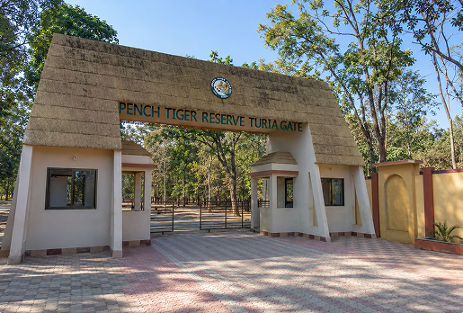 Pench National Park