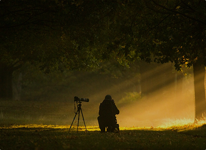 Nature walk and photography in Pench National Park